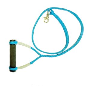 InTow Dog Leash Image